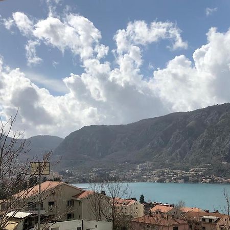 Apartment Apollo 2 Kotor Ngoại thất bức ảnh
